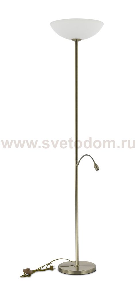 Торшер Biene MR2525-2F