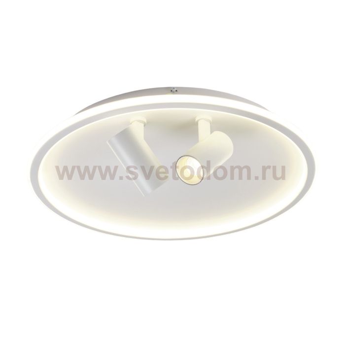 Потолочный светильник Focus MR9050-CL