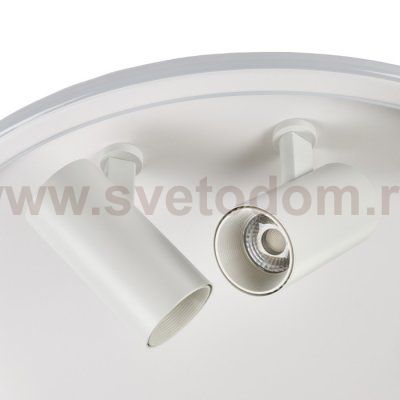 Потолочный светильник Focus MR9050-CL