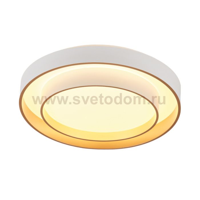 Потолочный светильник Rhea MR9161-CL