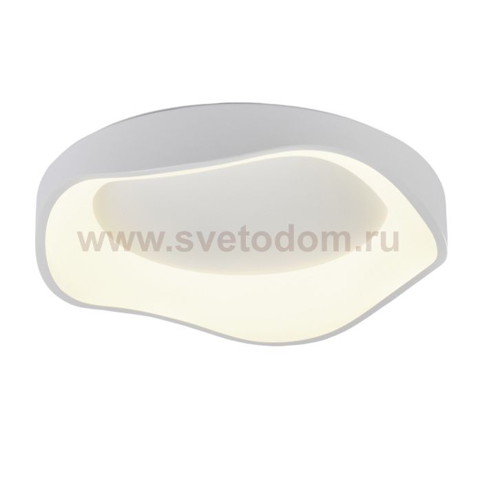 Потолочный светильник Diona MR9170-CL