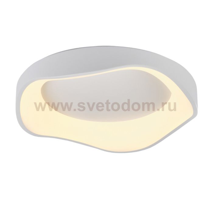 Потолочный светильник Diona MR9170-CL