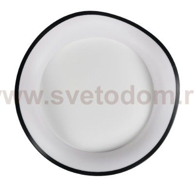 Потолочный светильник Diona MR9171-CL