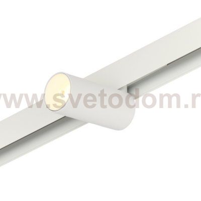 Трековый светильник Ray MT0220-12W3K-W
