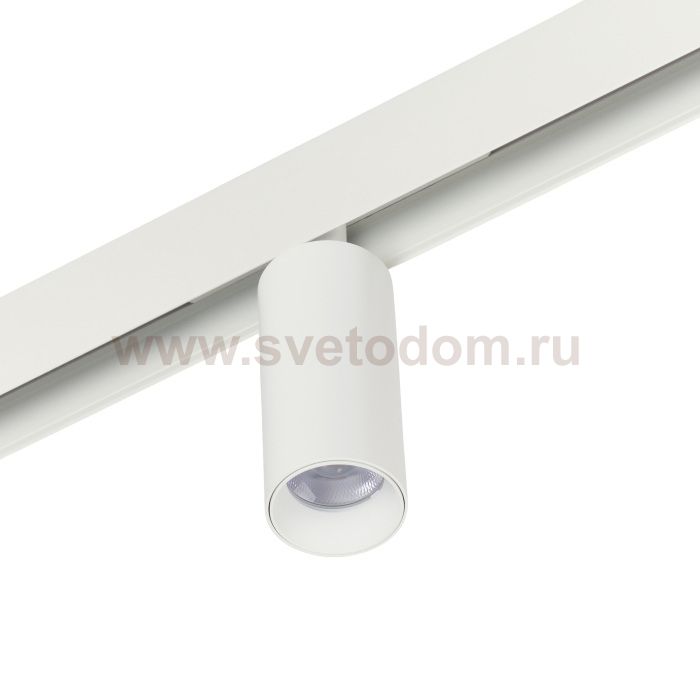 Трековый светильник Ray MT0220-12W3K-W