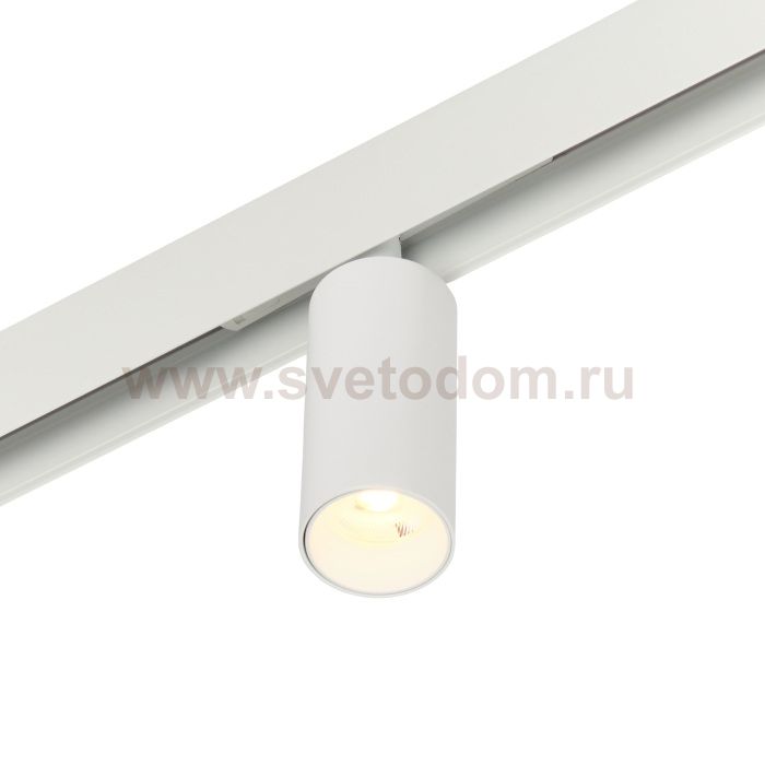 Трековый светильник Ray MT0220-12W3K-W