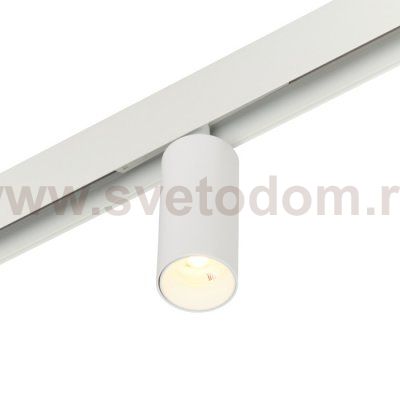 Трековый светильник Ray MT0220-12W3K-W