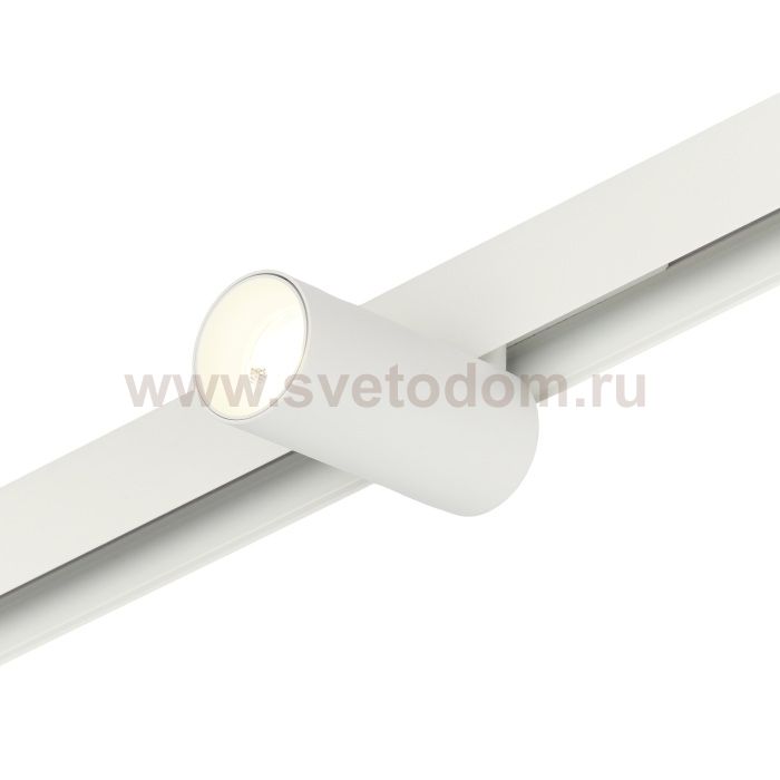 Трековый светильник Ray MT0220-12W4K-W