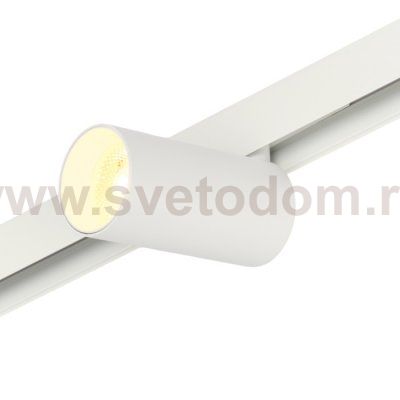 Трековый светильник Ray MT0220-18W3K-W