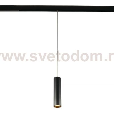 Трековый светильник Ray MT0221-20W3K-S-B