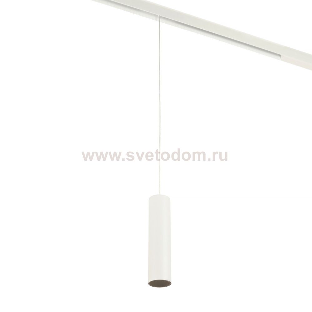 Трековый светильник Ray MT0221-20W3K-S-W