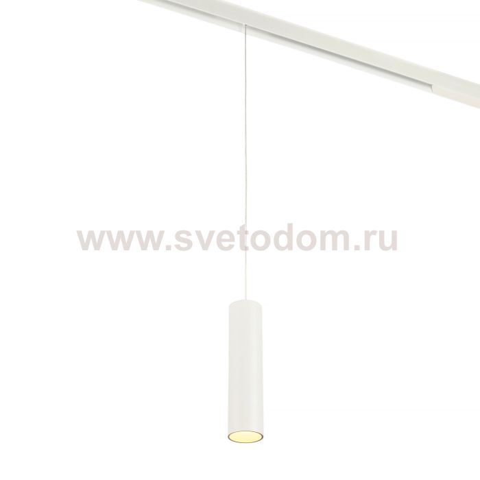 Трековый светильник Ray MT0221-20W3K-S-W