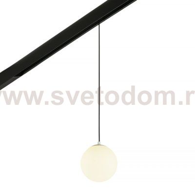 Трековый светильник Sphere MT0223-10W3K-S-B