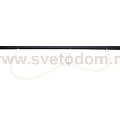 Трековый светильник Neon MT0224-20W3K-S-B