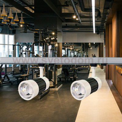 Трековый светильник Novotech 357566 PINE