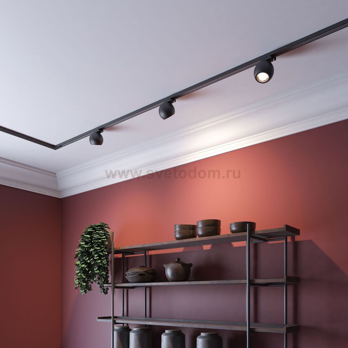 Однофазный трековый светильник Novotech 358352 BALL