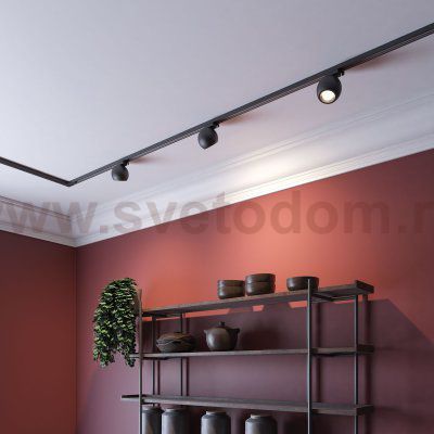 Однофазный трековый светильник Novotech 358352 BALL