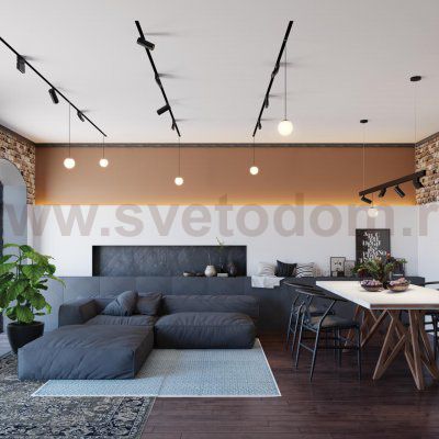 Трековый светильник для низковольтного шинопровода Novotech 358465 FLUM