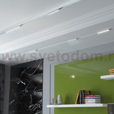 Трековый светильник для низковольного шинопровода Novotech 358538 FLUM