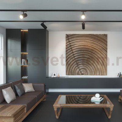 Светильник трековый однофазный двухжильный светодиодный Novotech 359157 SELENE