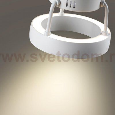 Светильник накладной светодиодный Novotech 359397 TURN