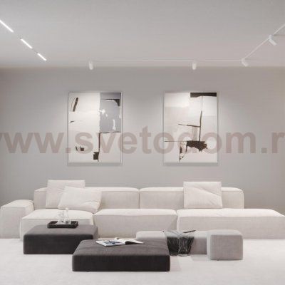 Трековый низковольтный смарт-светильник диммируемый со сменой цв.температуры, (пульт ДУ/Smart Life) Novotech 359495 FLUM