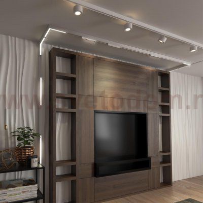 Трековый низковольтный смарт-светильник диммируемый со сменой цв.температуры, (пульт ДУ/Smart Life) Novotech 359501 FLUM