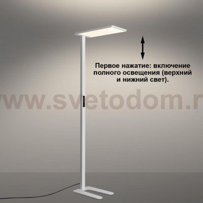 _ Novotech 359545 STUDI