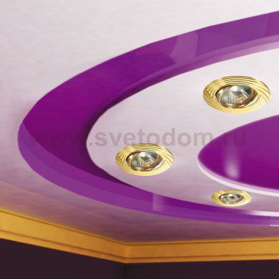 Точечный встраиваемый светильник Novotech 369613 TREK