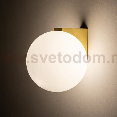 Настенный светильник Nowodvorski Aloe Brass (Cерия Aloe, Цвет Латунь) арт. 10525