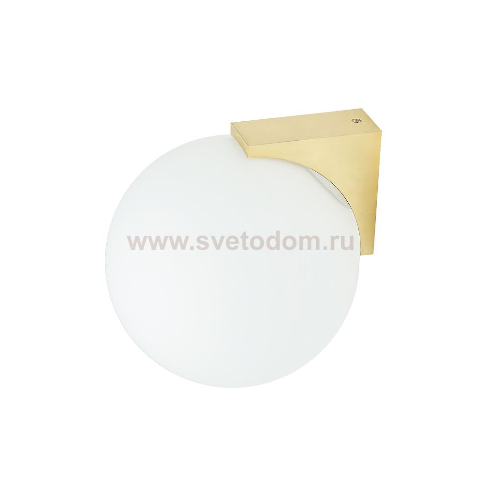 Настенный светильник Nowodvorski Aloe Brass (Cерия Aloe, Цвет Латунь) арт. 10525