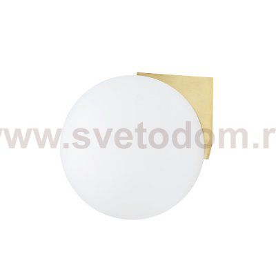 Настенный светильник Nowodvorski Aloe Brass (Cерия Aloe, Цвет Латунь) арт. 10525