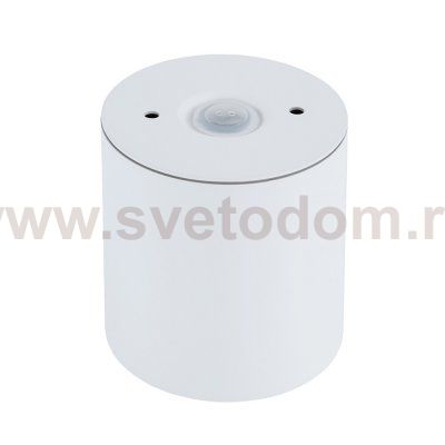 Потолочный cветильник Nowodvorski Ceara White (Cерия Ceara, Цвет Белый) арт. 10715