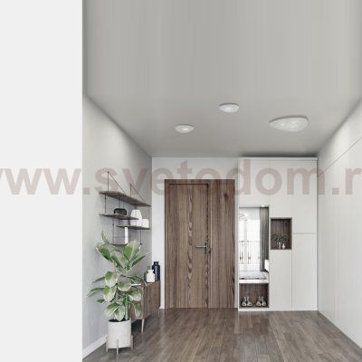 Потолочный cветильник Nowodvorski Organic 8305