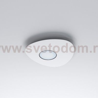 Потолочный cветильник Nowodvorski Organic 8305