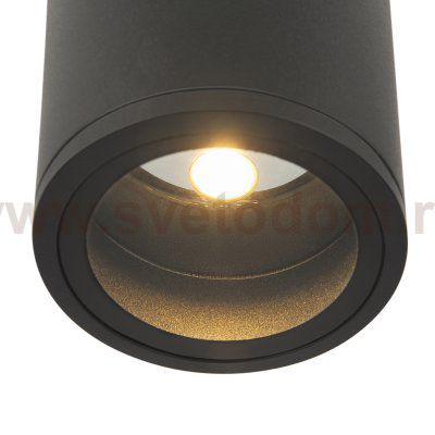 Потолочный светильник Outdoor O306CL-L12GF