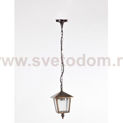 Светильник подвесной Oasis Light 15905 Gb