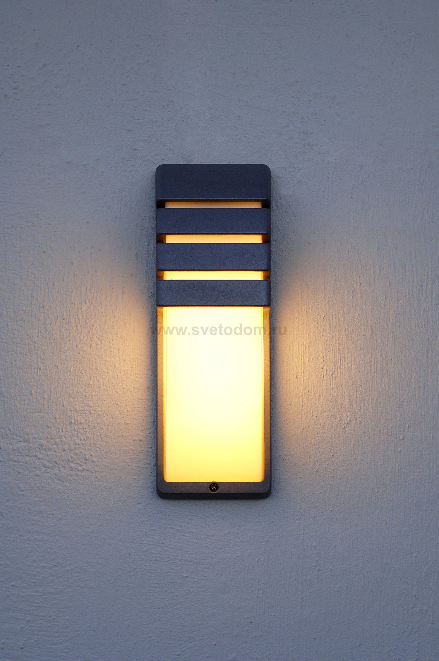 Светильник настенный Oasis Light 1836