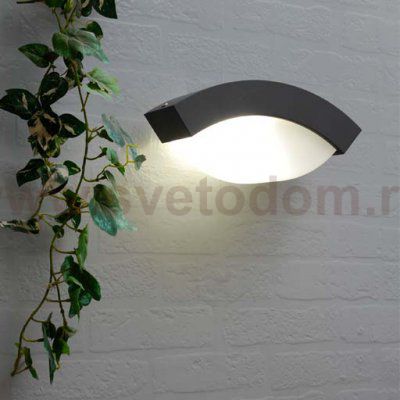 Светильник настенный Oasis Light 2146