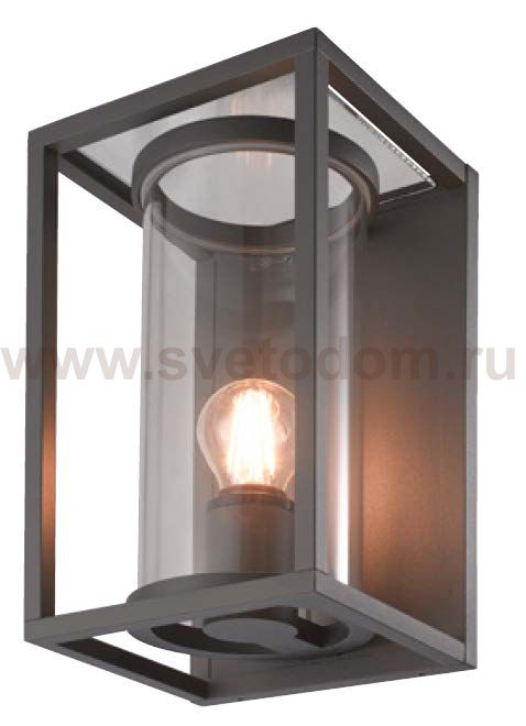 Светильник настенный Oasis Light 2396