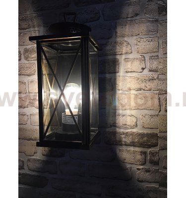 Светильник настенный Oasis Light 2592 Gb