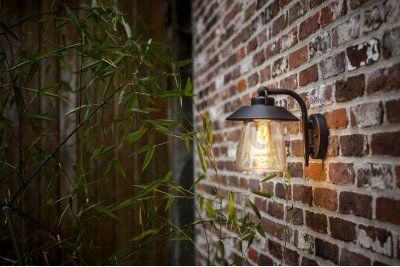 Светильник настенный Oasis Light 2642