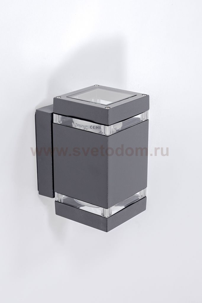 Светильник настенный 2 луча Oasis Light 6056 Gr