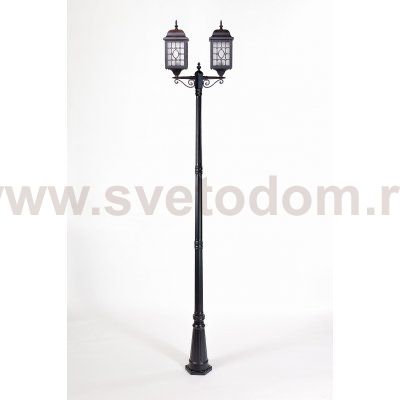 Светильник столб уличный 2 фонаря Oasis Light 64810LA 21 Bl
