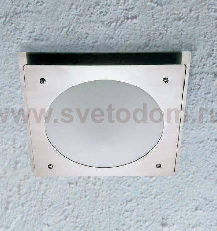 Светильник настенно-потолочный Oasis Light 77803