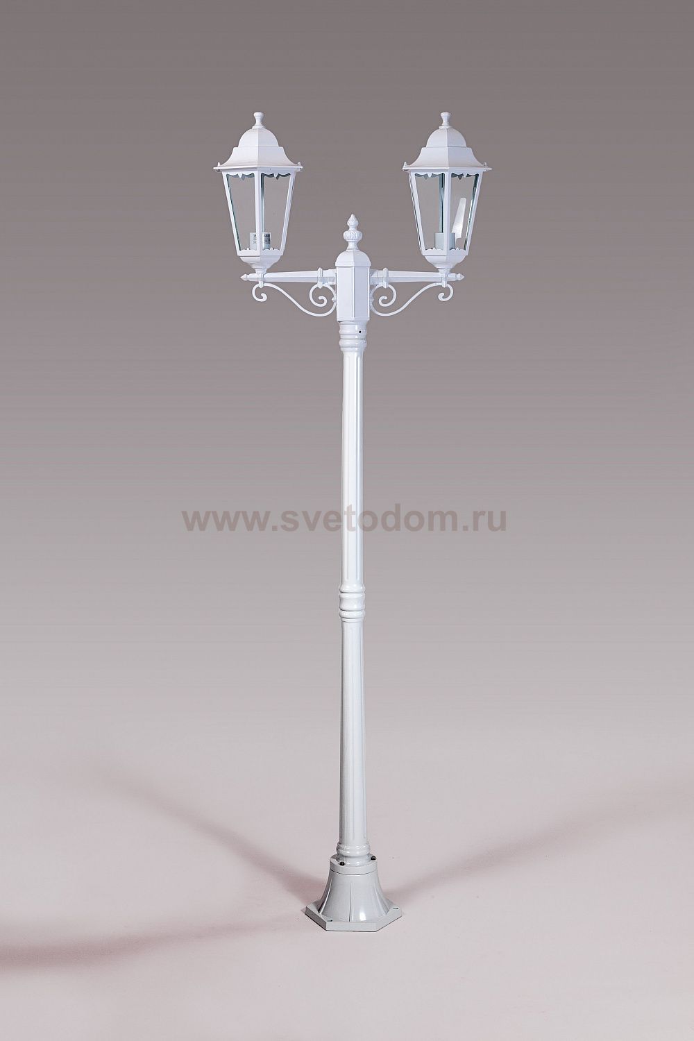 Светильник столб уличный 2 фонаря Oasis Light 79808MA W