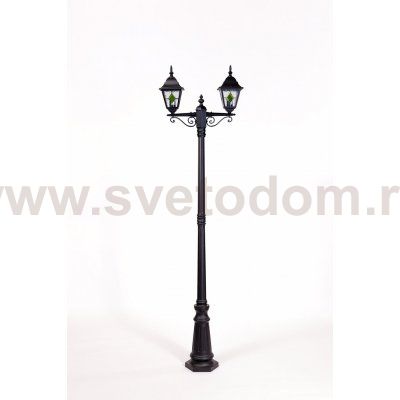 Светильник столб уличный 2 фонаря Oasis Light 79909MAlgG Bl