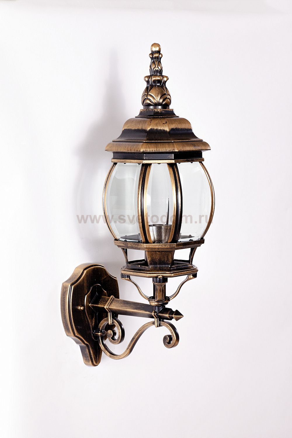 Светильник настенный Oasis Light 83401S Gb