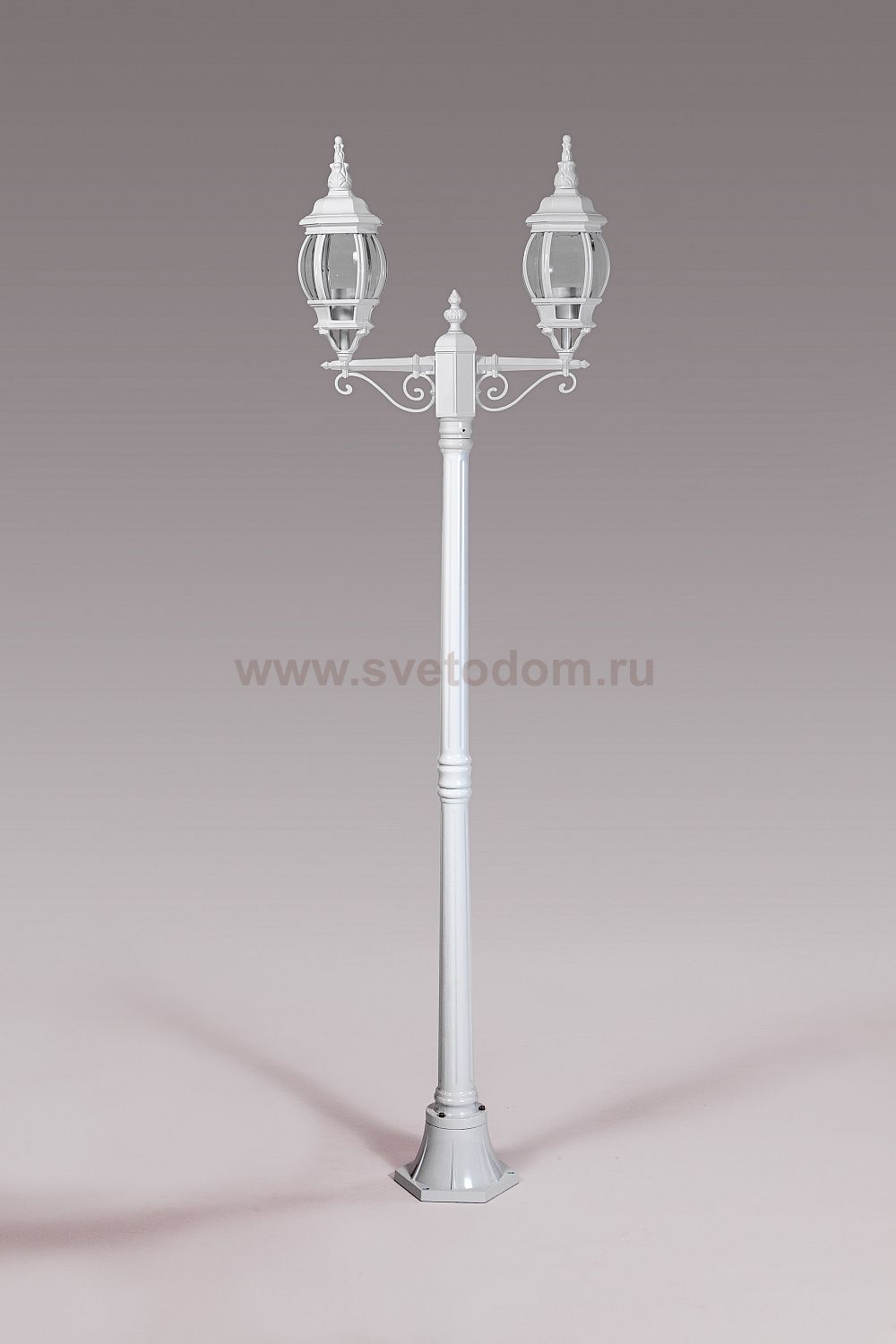 Светильник столб уличный 2 фонаря Oasis Light 83408SA W