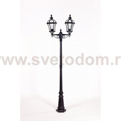 Светильник столб уличный 2 фонаря Oasis Light 95209LA Bl